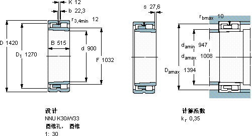 SKFNNU 41/900 K30M/W33轴承图纸