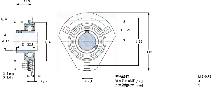 SKFPFD 17 RM轴承图纸